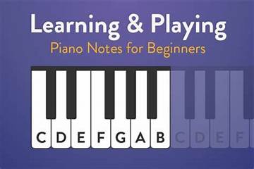 A Guide to Martin Essenburg: Learn the Basics and More