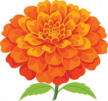 Enchanting Marigold Flowers Cartoon: a Vibrant Visual Delight