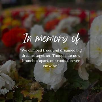 In Memoriam: Remembering the Life of Anthony Rich
