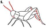Quick and Easy Locusts Drawing Guide for Beginners