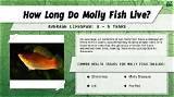 Real Truth on: How Long Was Molly Noblitt Locked up?