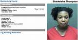 Sharkeisha: the Viral Sensation and Her Impact on Pop Culture