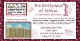 Uncover the Birthplace and Upbringing of Selena Quintanilla