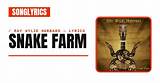 Unraveling the Mystery Behind "Snake Farm" Lyrics