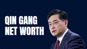 Unveiling the Wealth of Qin Gang: Insights into His Net Worth